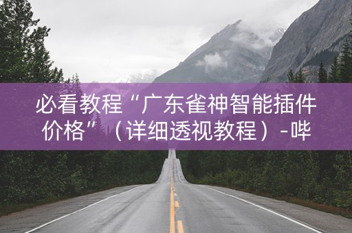 必看教程“广东雀神智能插件价格”（详细透视教程）-哔哩哔哩