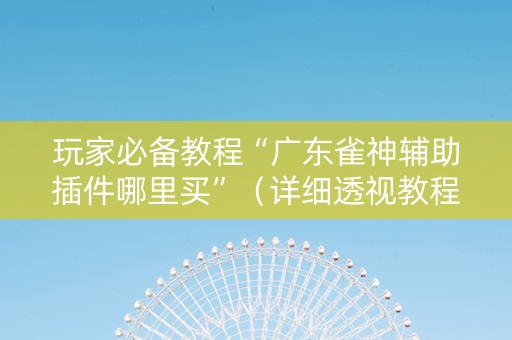 玩家必备教程“广东雀神辅助插件哪里买”（详细透视教程）-哔哩哔哩