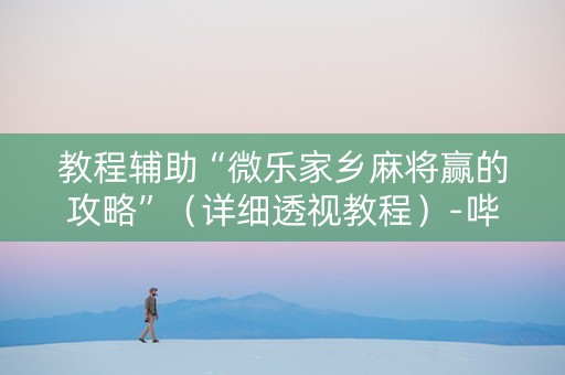 教程辅助“微乐家乡麻将赢的攻略”（详细透视教程）-哔哩哔哩