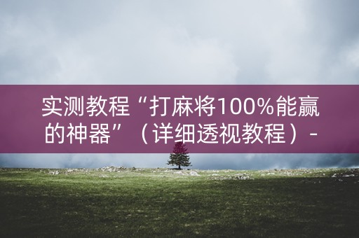 实测教程“打麻将100%能赢的神器”（详细透视教程）-哔哩哔哩