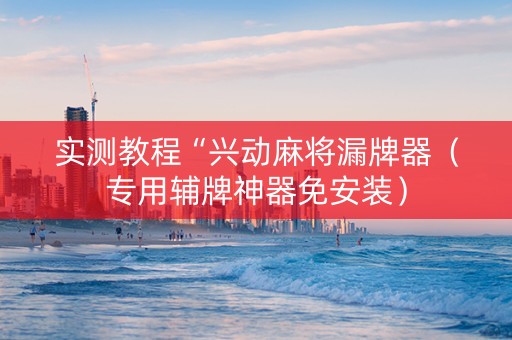 实测教程“兴动麻将漏牌器（专用辅牌神器免安装）