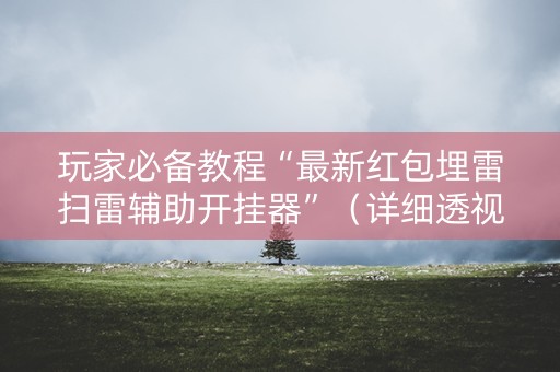 玩家必备教程“最新红包埋雷扫雷辅助开挂器”（详细透视教程）-哔哩哔哩