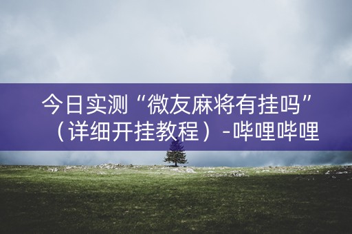今日实测“微友麻将有挂吗”（详细开挂教程）-哔哩哔哩