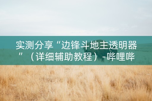 实测分享“边锋斗地主透明器”（详细辅助教程）-哔哩哔哩