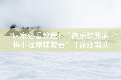 玩家必看教程！“微乐陕西麻将小程序辅牌器”（详细辅助教程）-哔哩哔哩
