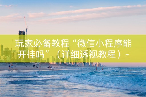 玩家必备教程“微信小程序能开挂吗”（详细透视教程）-哔哩哔哩