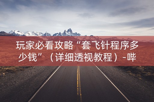 玩家必看攻略“套飞针程序多少钱”（详细透视教程）-哔哩哔哩