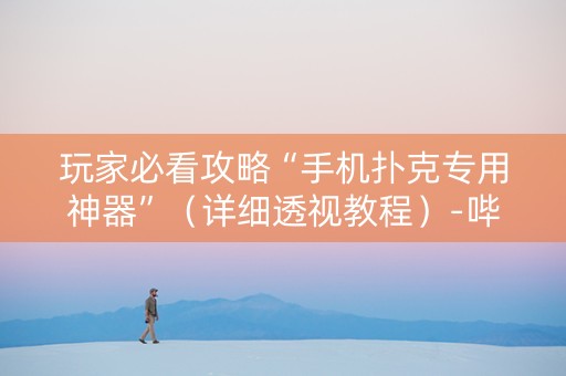 玩家必看攻略“手机扑克专用神器”（详细透视教程）-哔哩哔哩