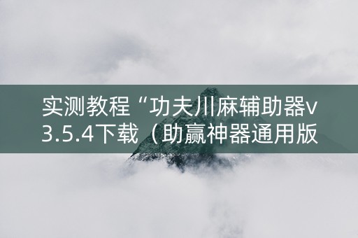 实测教程“功夫川麻辅助器v3.5.4下载（助赢神器通用版）