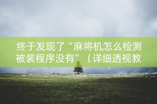 终于发现了“麻将机怎么检测被装程序没有”（详细透视教程）-哔哩哔哩