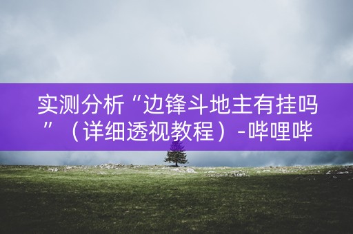 实测分析“边锋斗地主有挂吗”（详细透视教程）-哔哩哔哩