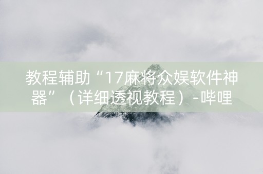 教程辅助“17麻将众娱软件神器”（详细透视教程）-哔哩哔哩
