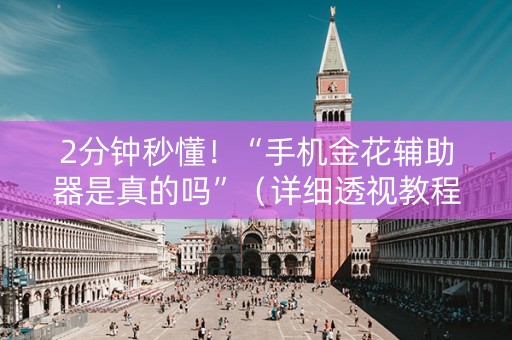 2分钟秒懂！“手机金花辅助器是真的吗”（详细透视教程）-哔哩哔哩