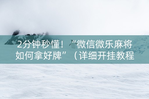 2分钟秒懂！“微信微乐麻将如何拿好牌”（详细开挂教程）-哔哩哔哩