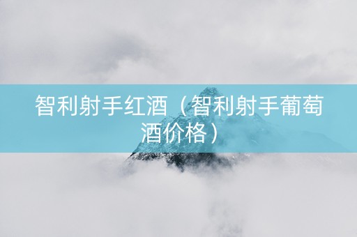 智利射手红酒（智利射手葡萄酒价格）