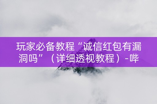 玩家必备教程“诚信红包有漏洞吗”（详细透视教程）-哔哩哔哩