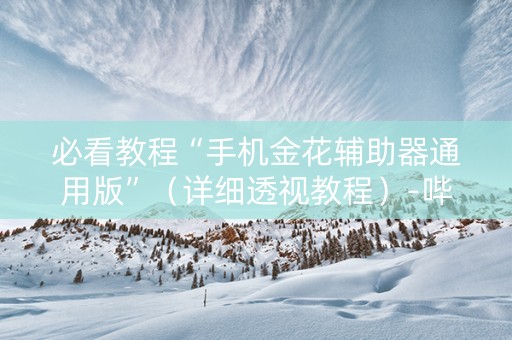 必看教程“手机金花辅助器通用版”（详细透视教程）-哔哩哔哩