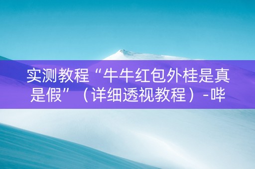 实测教程“牛牛红包外桂是真是假”（详细透视教程）-哔哩哔哩