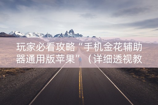 玩家必看攻略“手机金花辅助器通用版苹果”（详细透视教程）-哔哩哔哩