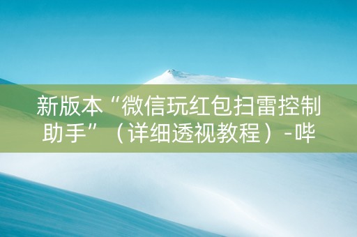 新版本“微信玩红包扫雷控制助手”（详细透视教程）-哔哩哔哩