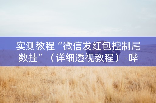 实测教程“微信发红包控制尾数挂”（详细透视教程）-哔哩哔哩