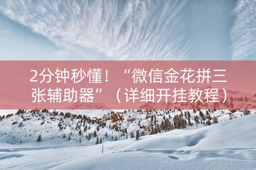 2分钟秒懂！“微信金花拼三张辅助器”（详细开挂教程）-哔哩哔哩