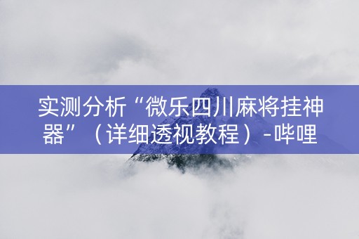 实测分析“微乐四川麻将挂神器”（详细透视教程）-哔哩哔哩