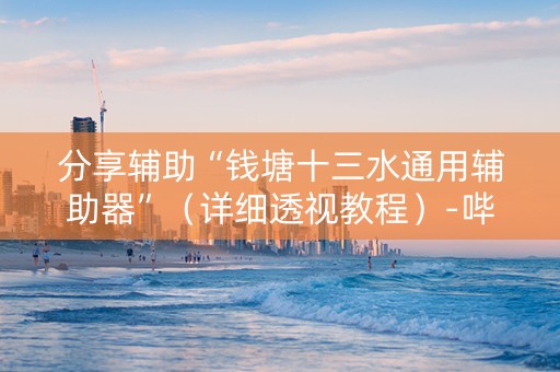 分享辅助“钱塘十三水通用辅助器”（详细透视教程）-哔哩哔哩