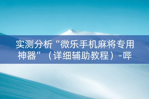 实测分析“微乐手机麻将专用神器”（详细辅助教程）-哔哩哔哩