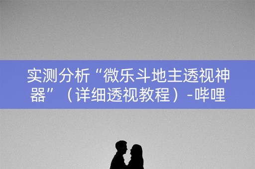 实测分析“微乐斗地主透视神器”（详细透视教程）-哔哩哔哩