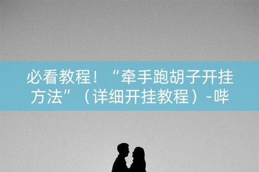 必看教程！“牵手跑胡子开挂方法”（详细开挂教程）-哔哩哔哩