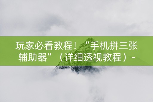 玩家必看教程！“手机拼三张辅助器”（详细透视教程）-哔哩哔哩