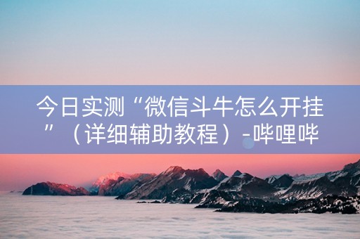 今日实测“微信斗牛怎么开挂”（详细辅助教程）-哔哩哔哩