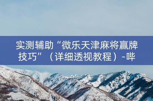 实测辅助“微乐天津麻将赢牌技巧”（详细透视教程）-哔哩哔哩