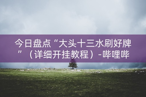 今日盘点“大头十三水刷好牌”（详细开挂教程）-哔哩哔哩