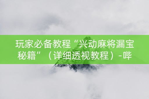 玩家必备教程“兴动麻将漏宝秘籍”（详细透视教程）-哔哩哔哩