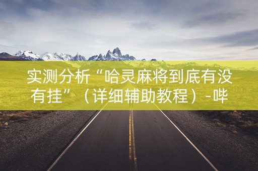 实测分析“哈灵麻将到底有没有挂”（详细辅助教程）-哔哩哔哩