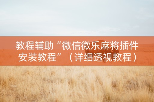 教程辅助“微信微乐麻将插件安装教程”（详细透视教程）-哔哩哔哩