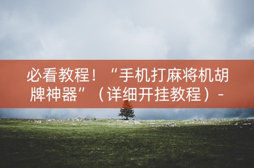 必看教程！“手机打麻将机胡牌神器”（详细开挂教程）-哔哩哔哩