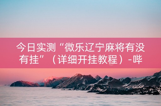 今日实测“微乐辽宁麻将有没有挂”（详细开挂教程）-哔哩哔哩