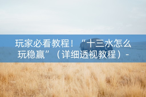 玩家必看教程！“十三水怎么玩稳赢”（详细透视教程）-哔哩哔哩