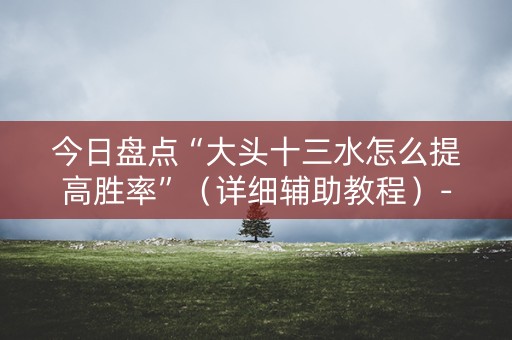 今日盘点“大头十三水怎么提高胜率”（详细辅助教程）-哔哩哔哩
