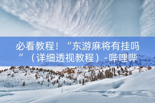 必看教程！“东游麻将有挂吗”（详细透视教程）-哔哩哔哩