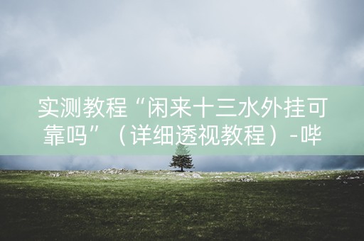 实测教程“闲来十三水外挂可靠吗”（详细透视教程）-哔哩哔哩