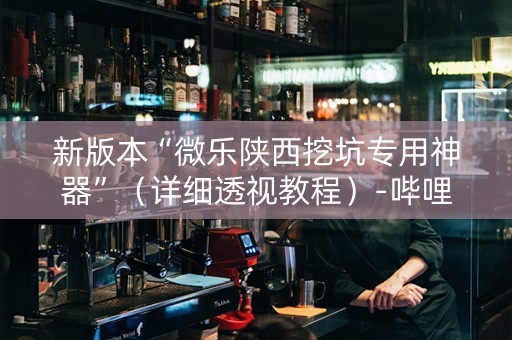 新版本“微乐陕西挖坑专用神器”（详细透视教程）-哔哩哔哩