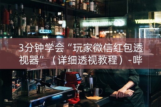 3分钟学会“玩家微信红包透视器”（详细透视教程）-哔哩哔哩