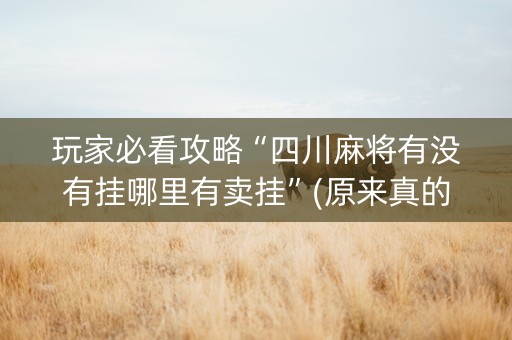 玩家必看攻略“四川麻将有没有挂哪里有卖挂”(原来真的有挂)-知乎