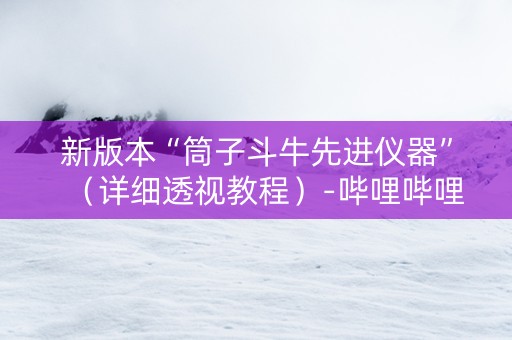新版本“筒子斗牛先进仪器”（详细透视教程）-哔哩哔哩