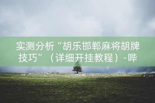 实测分析“胡乐邯郸麻将胡牌技巧”（详细开挂教程）-哔哩哔哩