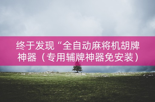 终于发现“全自动麻将机胡牌神器（专用辅牌神器免安装）